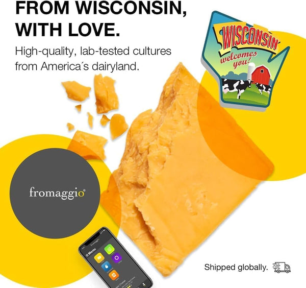 Fromaggio Smart Home Cheese Maker with stainless steel finish and Wi-Fi app control