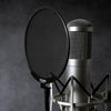 Proscreen XL metal pop filter with adjustable gooseneck attached to microphone stand for studio recording