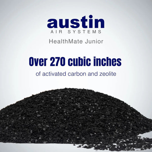 Austin Air HealthMate Junior Replacement Filter Kit