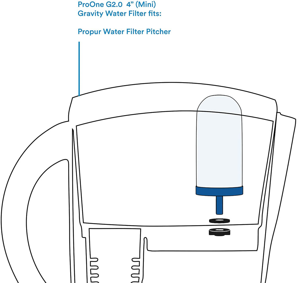 Propur Water Filter Pitcher Fruit Infuser. Filter Pete Organics