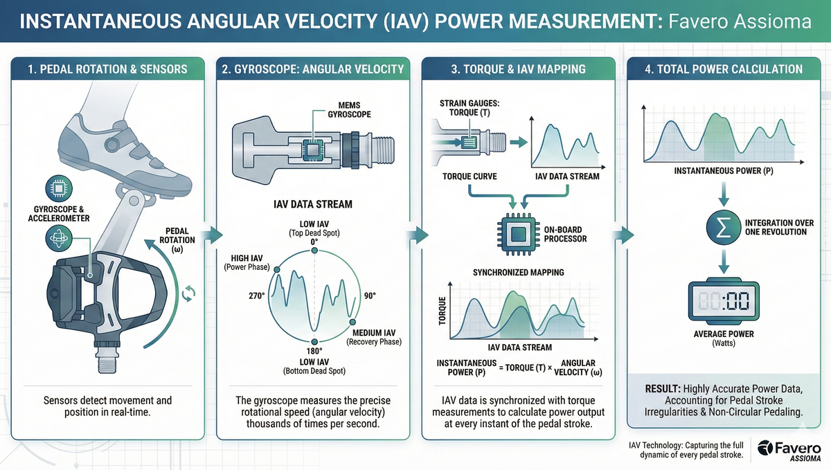 How Accurate Are Favero Assioma Pedals? Real Data Explained