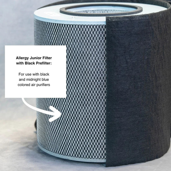 Austin Air Allergy Machine Junior filter installation in junior unit