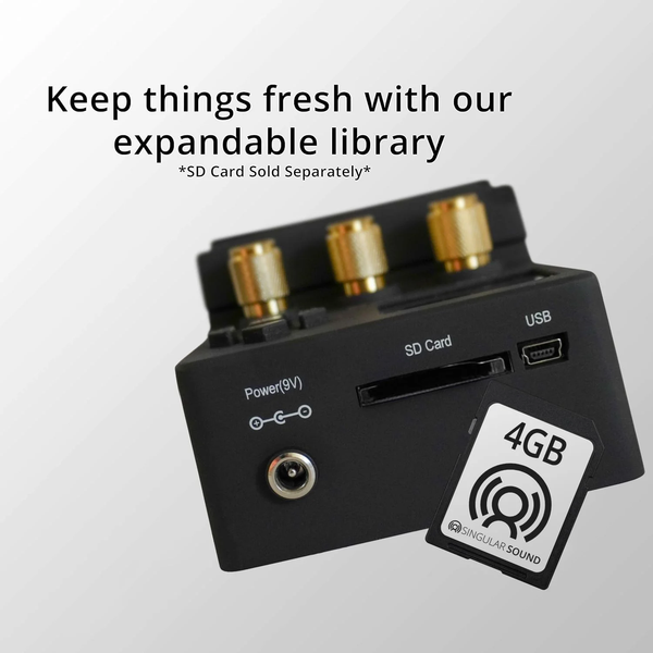 beatbuddy-10th-anniversary-sd-card-usb