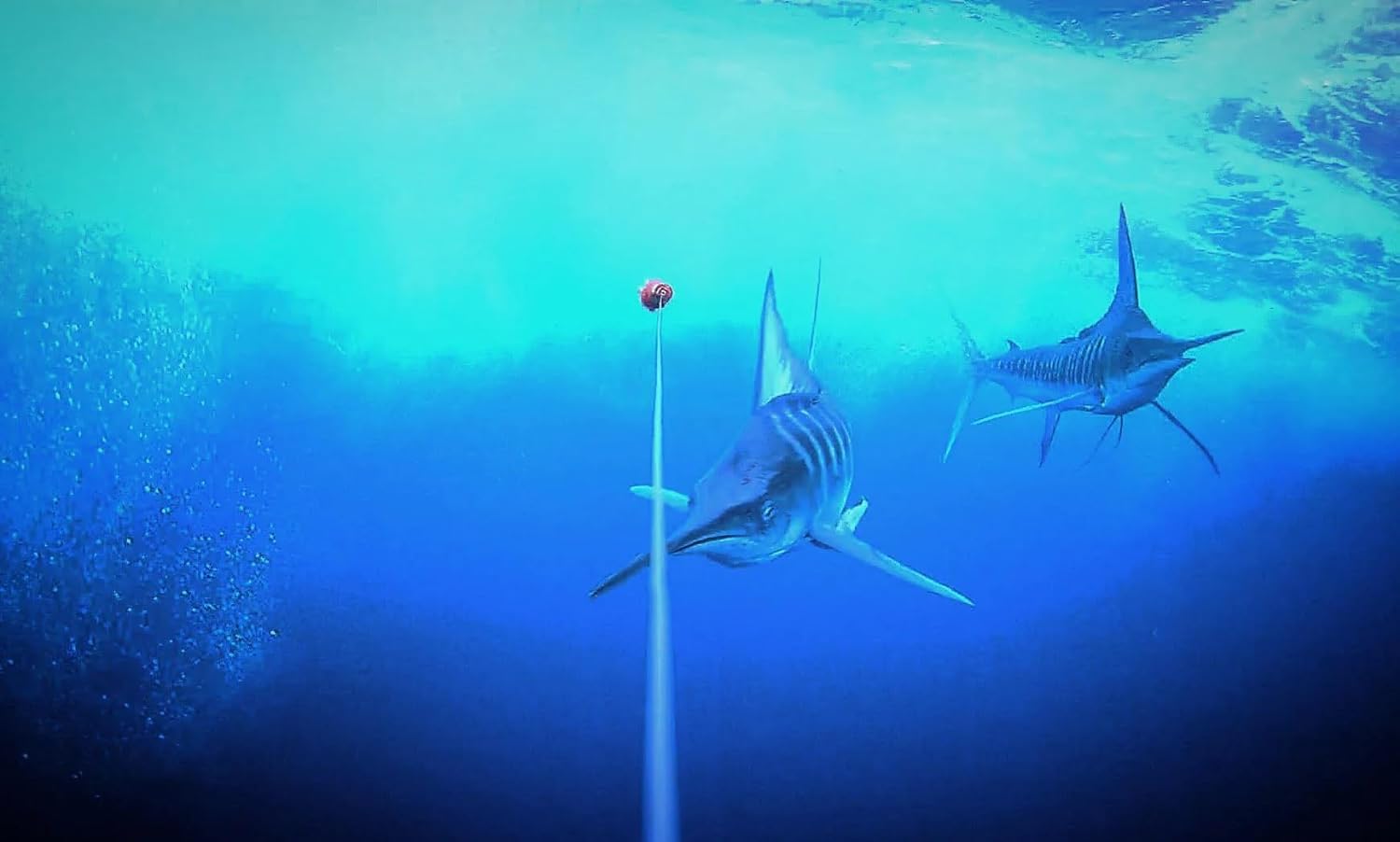 Gofish Cam - Wireless Underwater Fishing Camera
