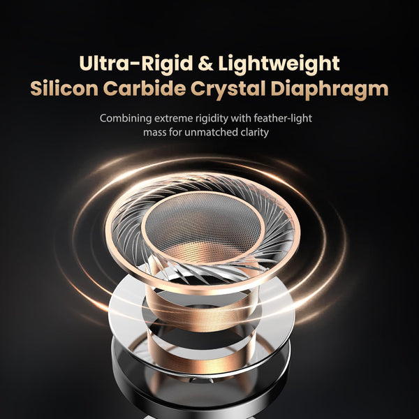 HIDIZS MK10 ArcSonics in-ear monitors black housing