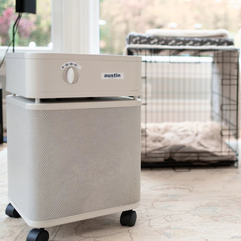 air plants austin Austin Air HealthMate – HEPA & Activated Carbon Air Purifier