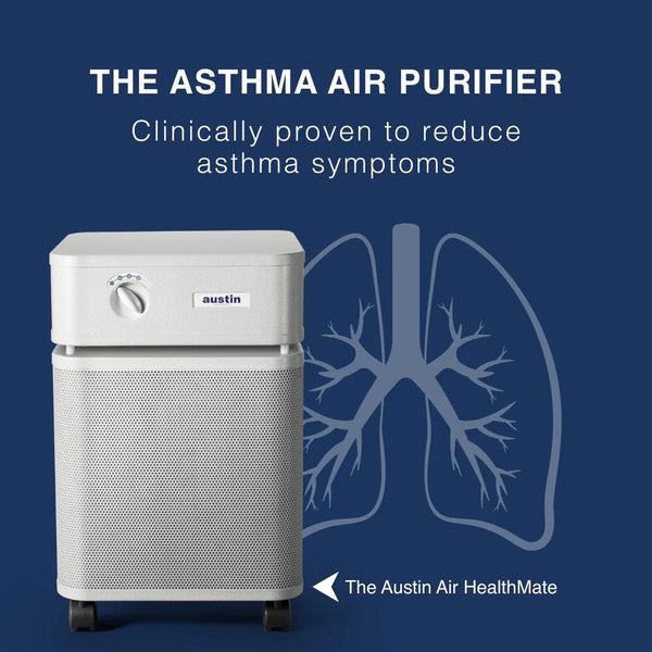 Austin Air HealthMate air purifier steel housing 360° intake