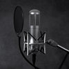 Proscreen XL metal pop filter with adjustable gooseneck attached to microphone stand for studio recording