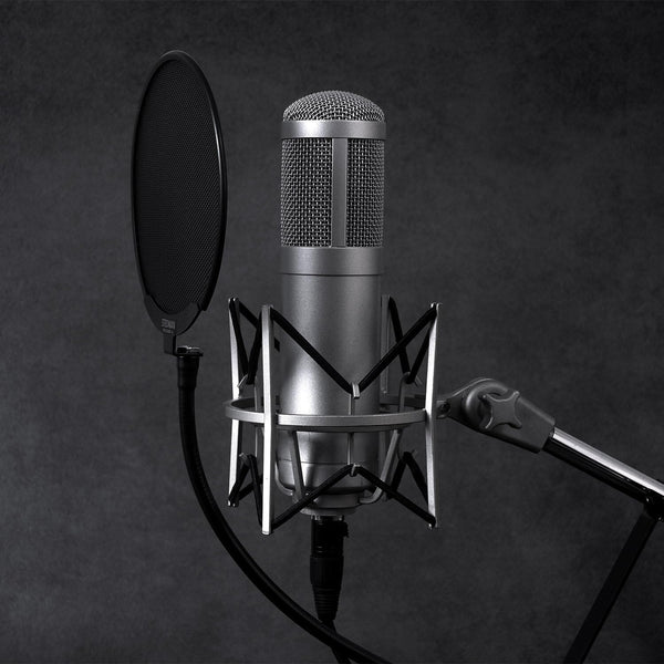 Proscreen XL metal pop filter with adjustable gooseneck attached to microphone stand for studio recording