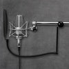 Proscreen XL metal pop filter with adjustable gooseneck attached to microphone stand for studio recording