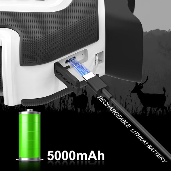 Digital night vision binoculars with LCD screen and infrared mode