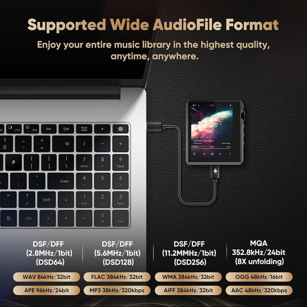 HIDIZS AP80 Pro-X with 2.45 inch touchscreen, physical buttons, and precision volume knob