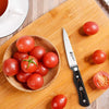 TUO Paring Knife - 4 inch Fruit Vegetable Knife Legacy Series