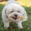Lucky Premium Treats Chicken Wrapped Rawhide Chews with Real Chicken Breast. - 100 chews