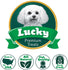 products/LuckyPremiumTreatsChickenWrappedRawhideDogTreats_AllNaturalGlutenFreeDogTreatsforMediumDogs_Made-4.jpg