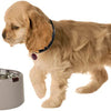OurPets Wonder Bowl Selective Pet Feeder