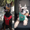 Sleepypod ClickIt Sport Crash-Tested Car Safety Dog Harness (Large, Jet Black)