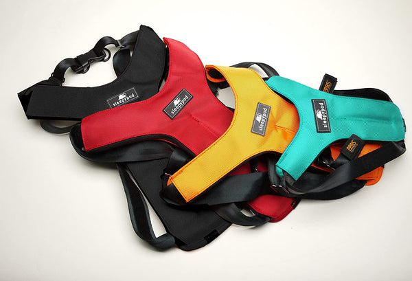 Sleepypod ClickIt Sport Crash-Tested Car Safety Dog Harness (Large, Strawberry Red)