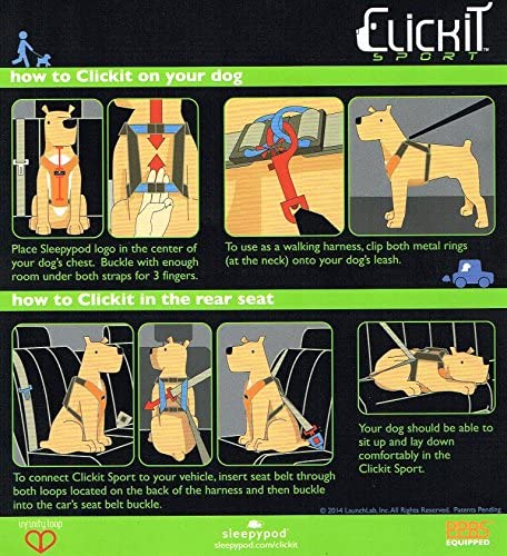 Sleepypod ClickIt Sport Crash-Tested Car Safety Dog Harness (Large, Robin Egg Blue)