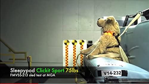 Sleepypod ClickIt Sport Crash-Tested Car Safety Dog Harness (Large, Robin Egg Blue)
