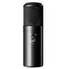 Warm Audio WA-8000 Large Diaphragm Condenser Microphone
