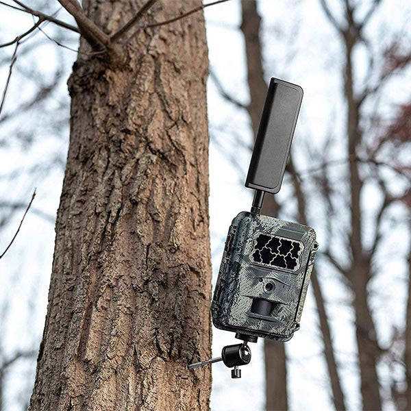 mounted hunting camera spartan