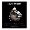 MIOPS Smart Plus sound trigger capturing breaking object in high speed photography